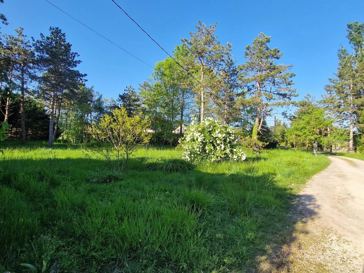 Maison à vendre, 218m², Mont-près-Chambord