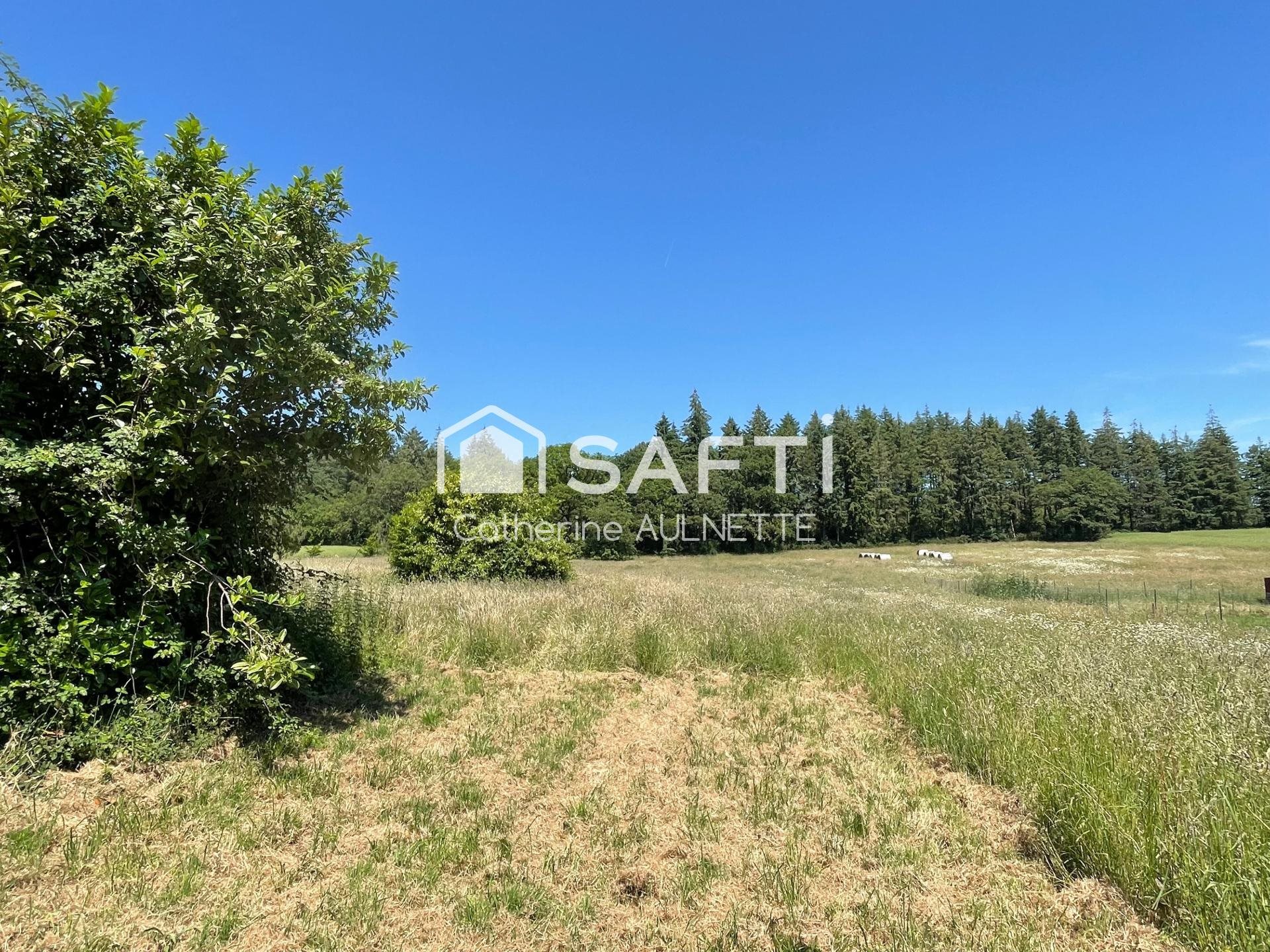 Maison à vendre, 91m², Renac