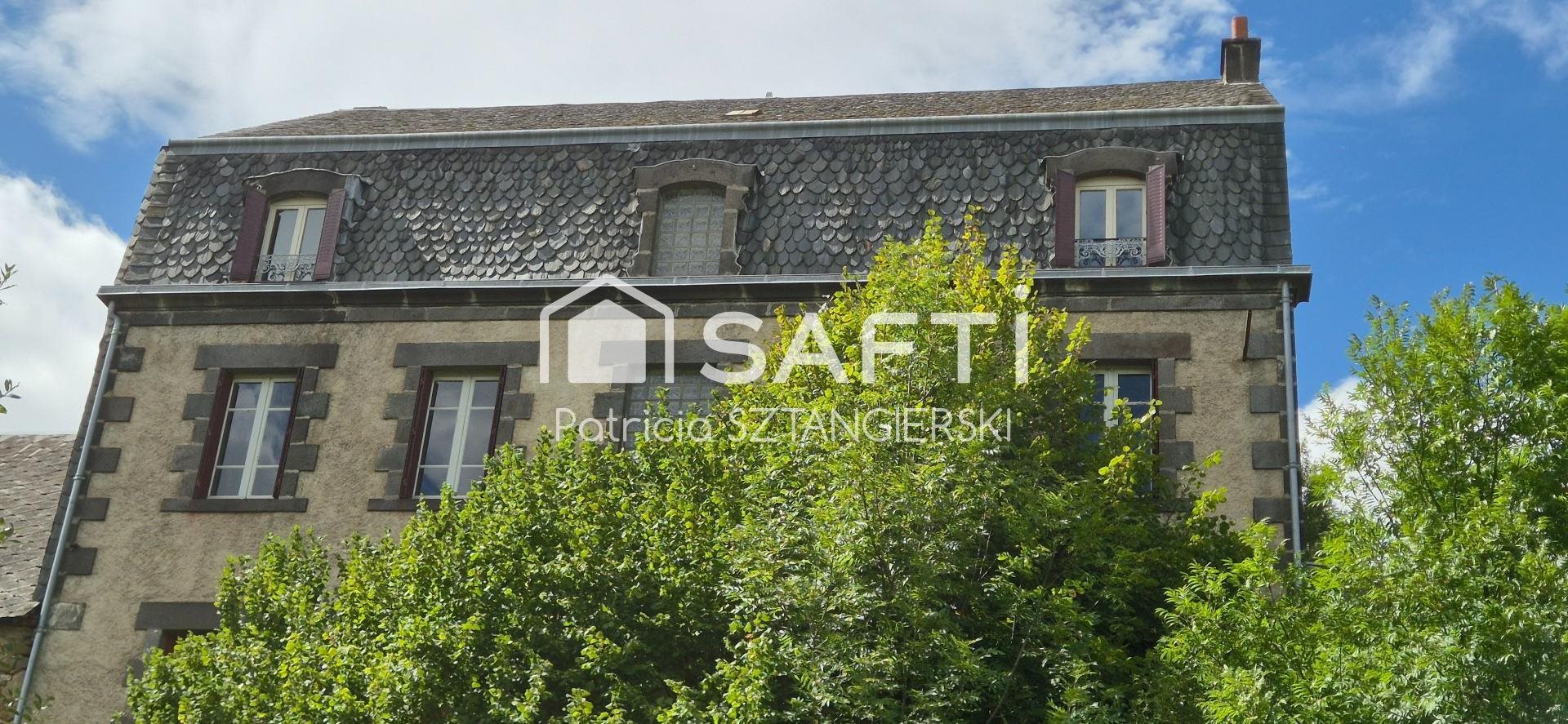 Maison à vendre, 295m², Gelles