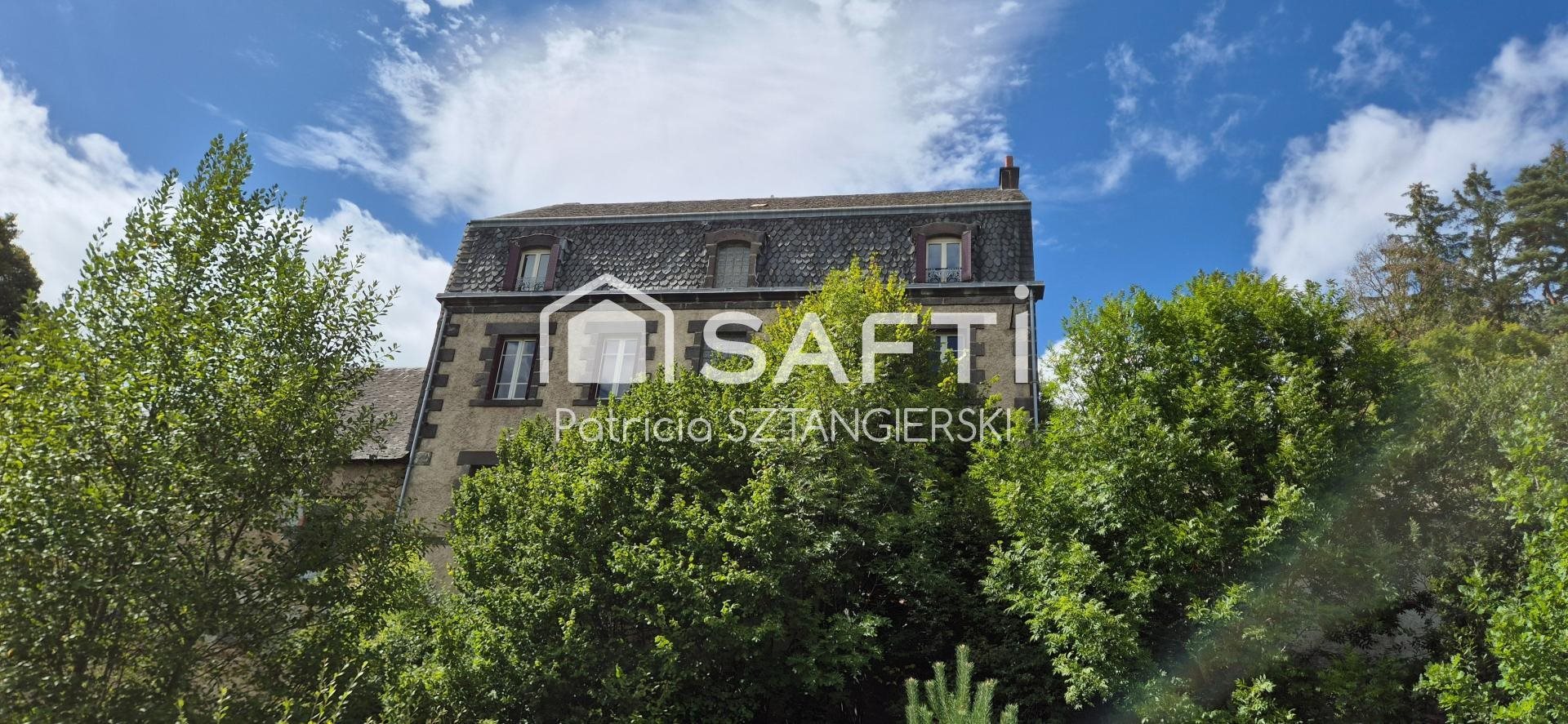 Maison à vendre, 295m², Gelles