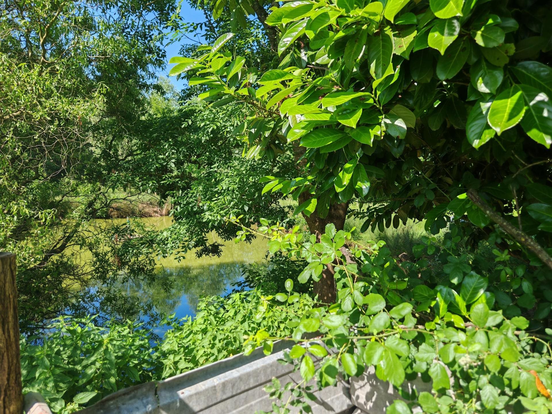 Maison à vendre, 105m², Saint-Bonnet-en-Bresse