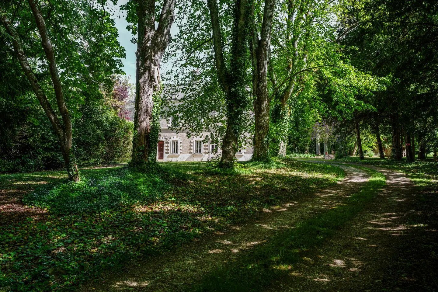 Maison à vendre, 371m², Neuillé-le-Lierre