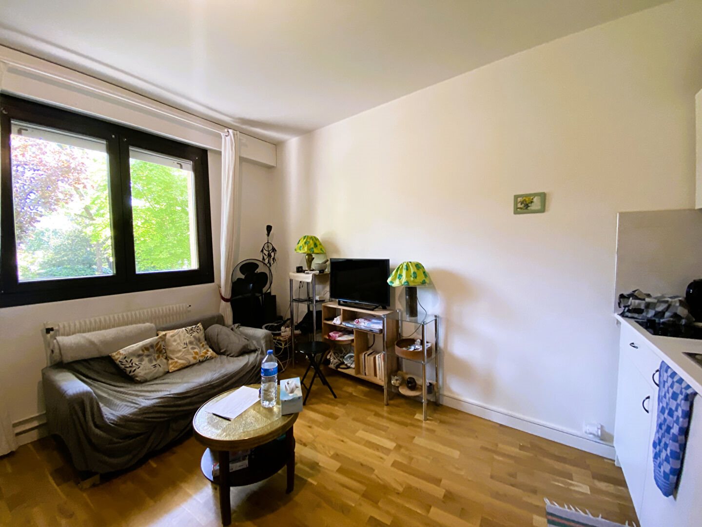 Appartement à vendre, 23m², Fontenay-aux-Roses