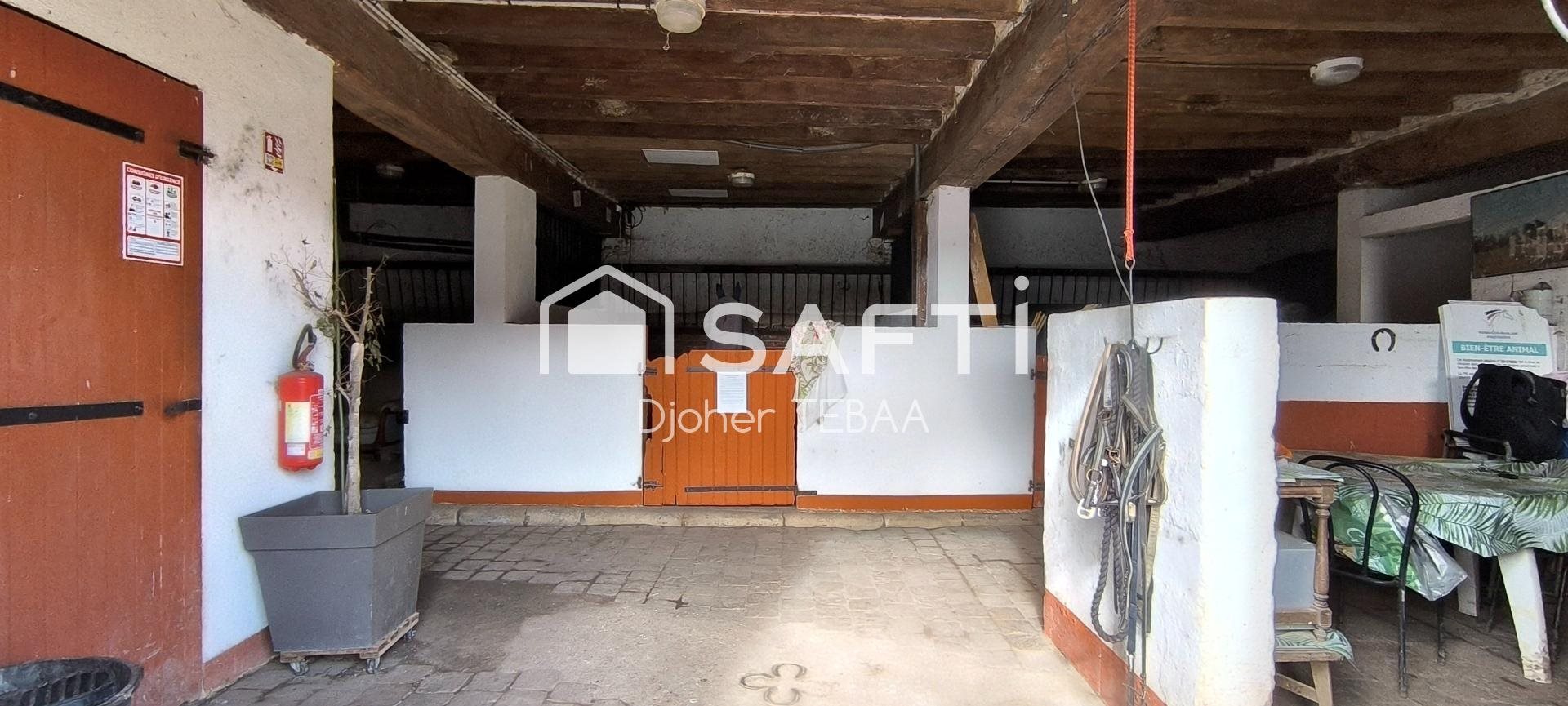 Maison à vendre, 211m², Châteauneuf-en-Thymerais