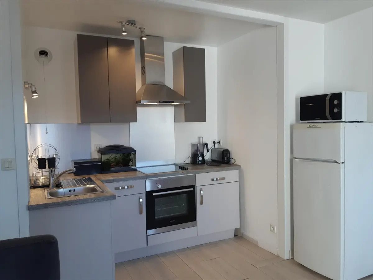 Appartement à louer, 49m², Joué-lès-Tours