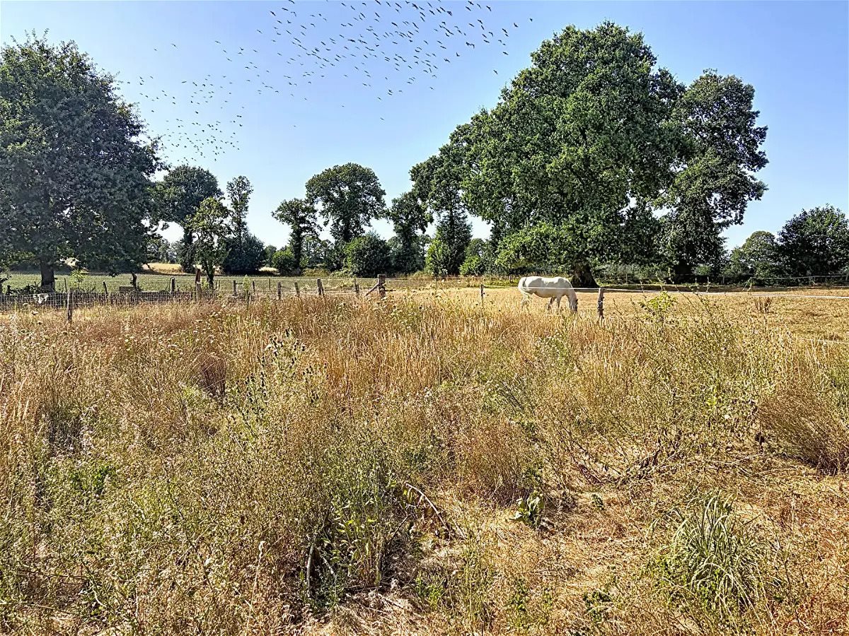 Maison à vendre, 72m², Montaudin