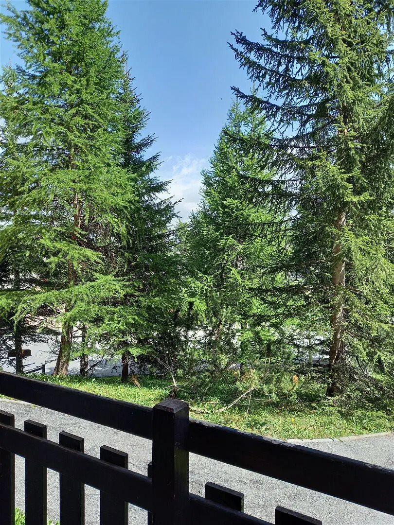 Appartement à vendre, 24m², Risoul