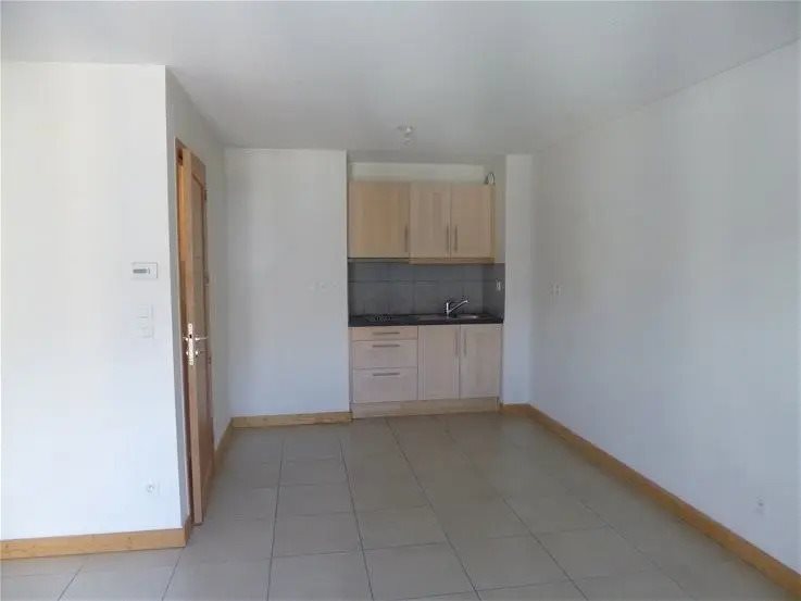 Appartement à louer, 44m², Sallanches