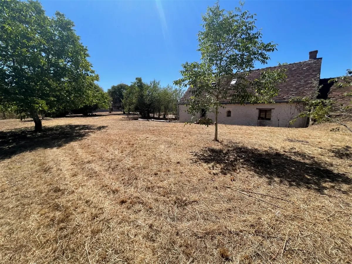 Maison à louer, 82m², Luzillé
