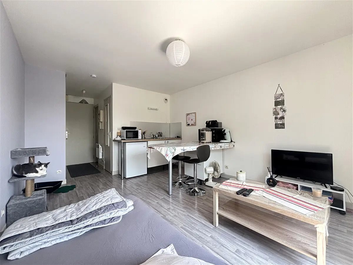 Appartement à vendre, 23m², Buxerolles