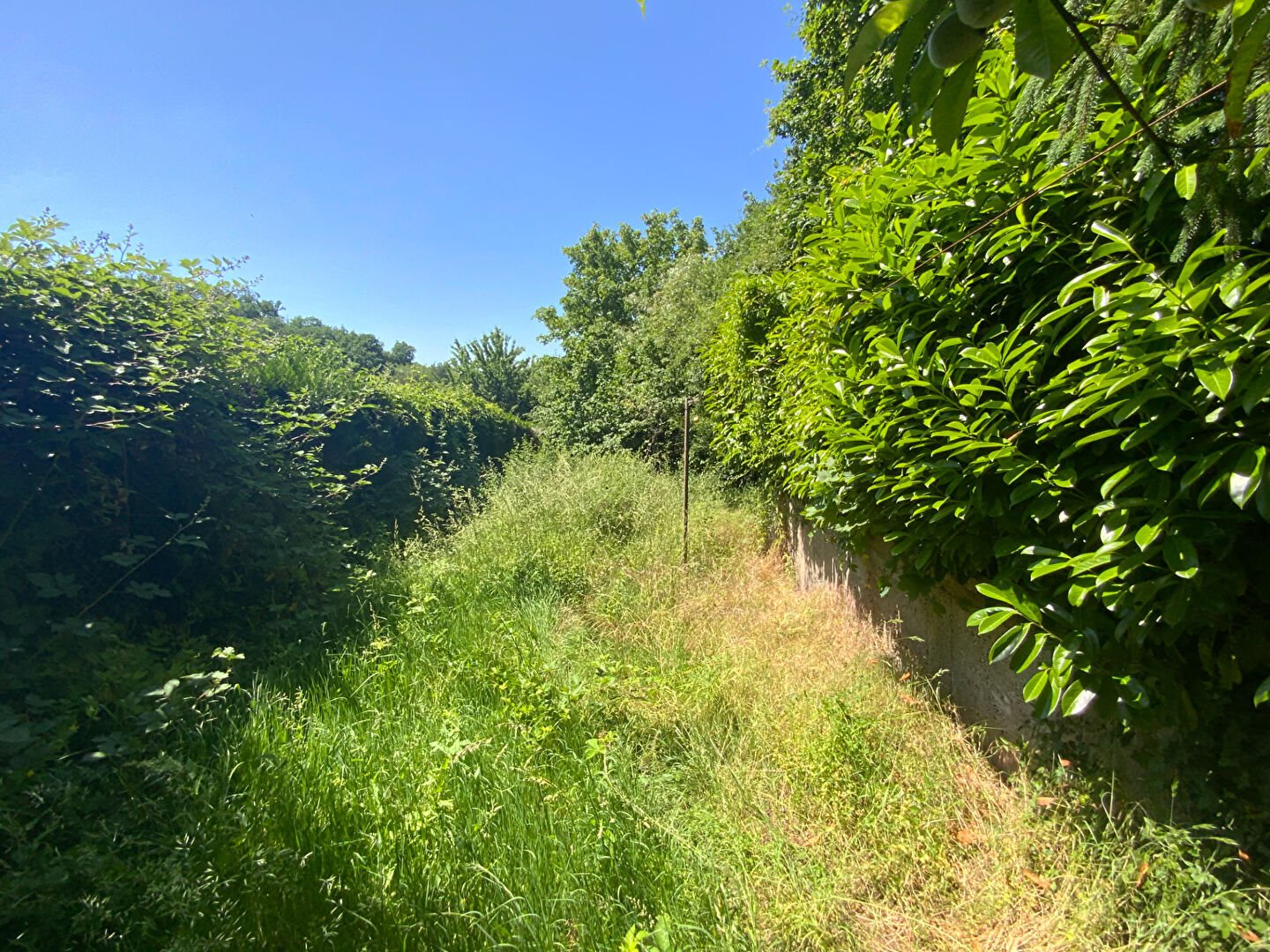 Maison à vendre, 38m², Saint-Sernin-du-Bois