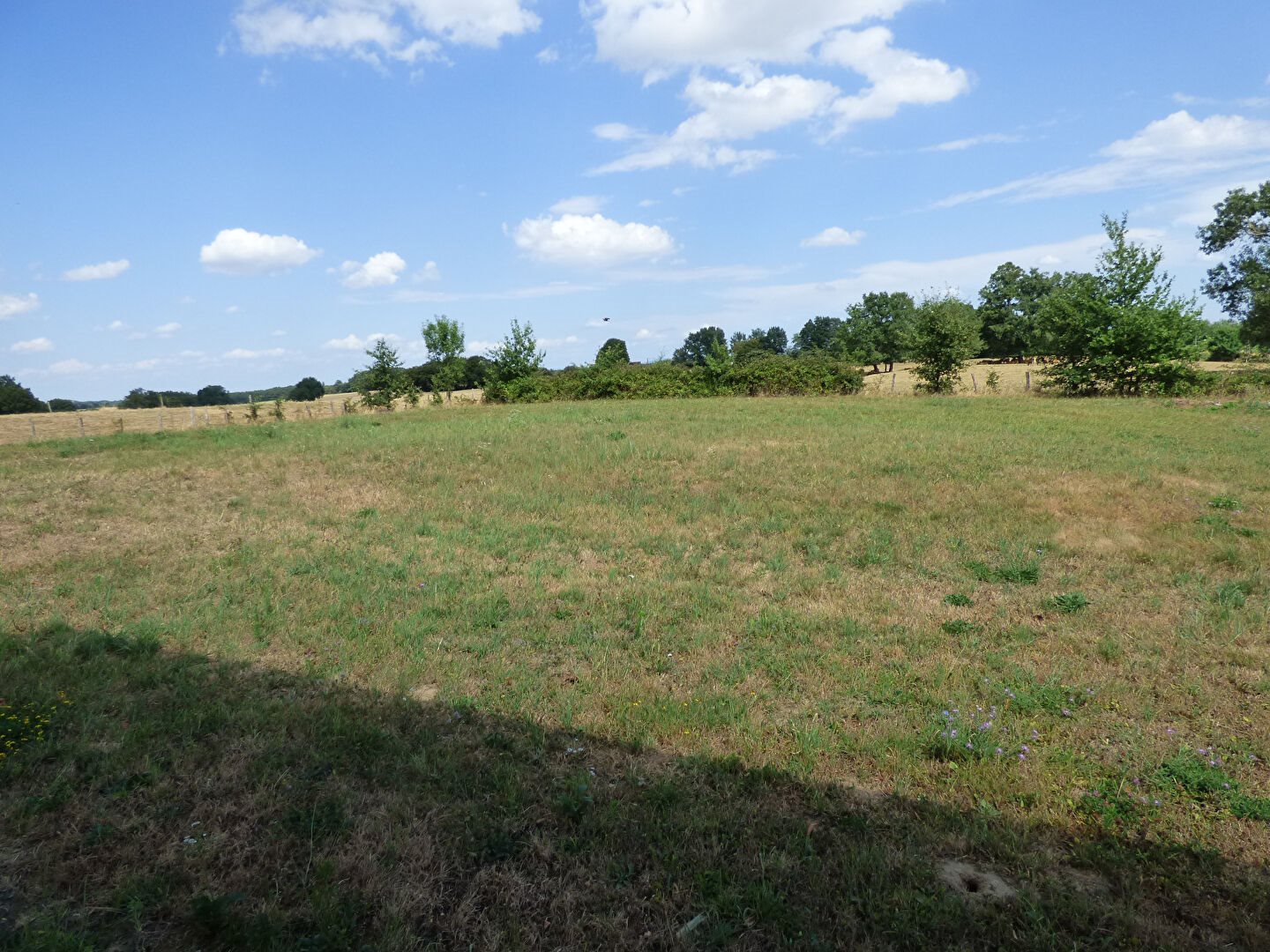 Maison à vendre, 120m², Saint-Trivier-de-Courtes