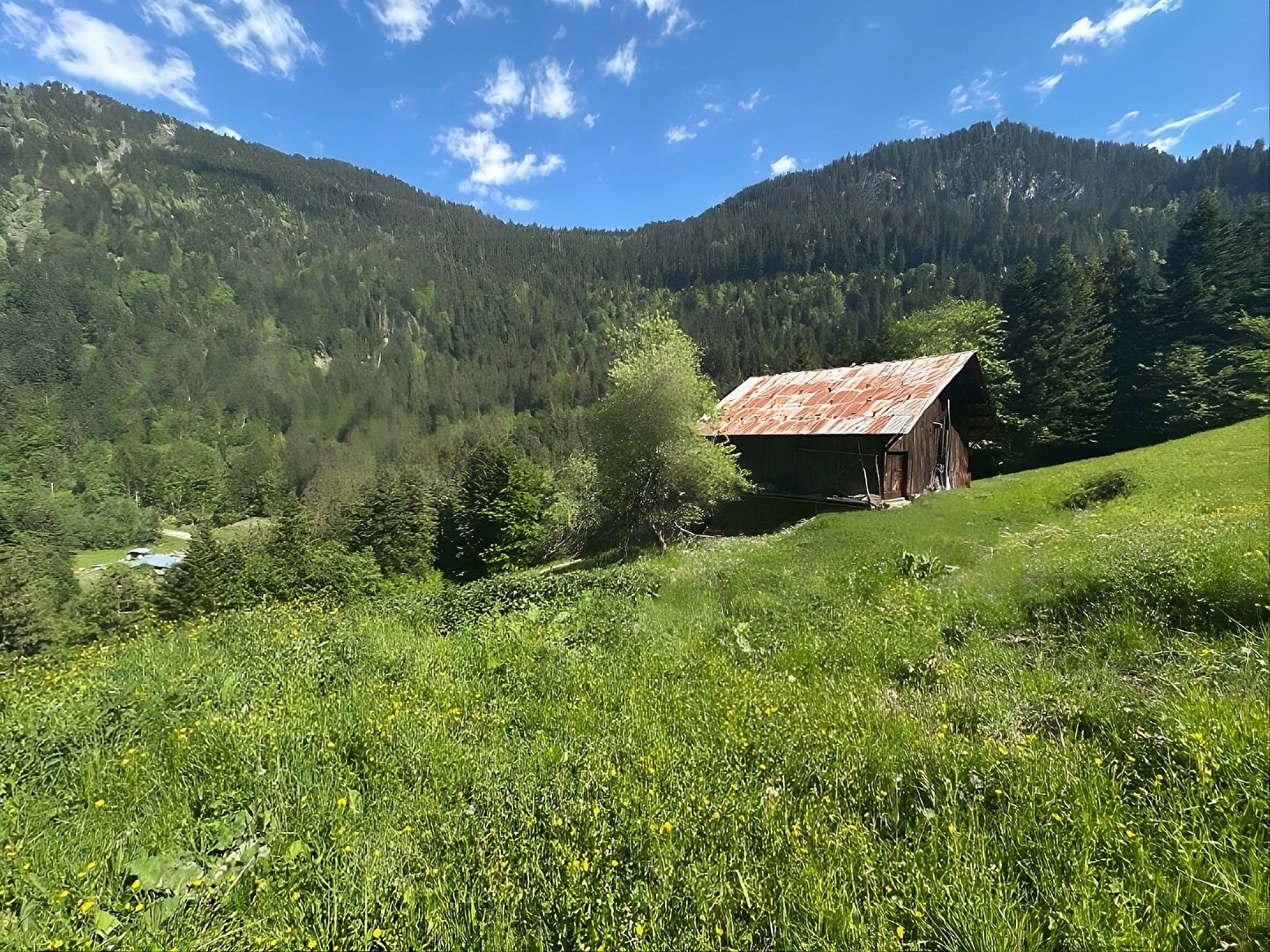 Maison à vendre, 225m², Beaufort (Arêches-Beaufort)