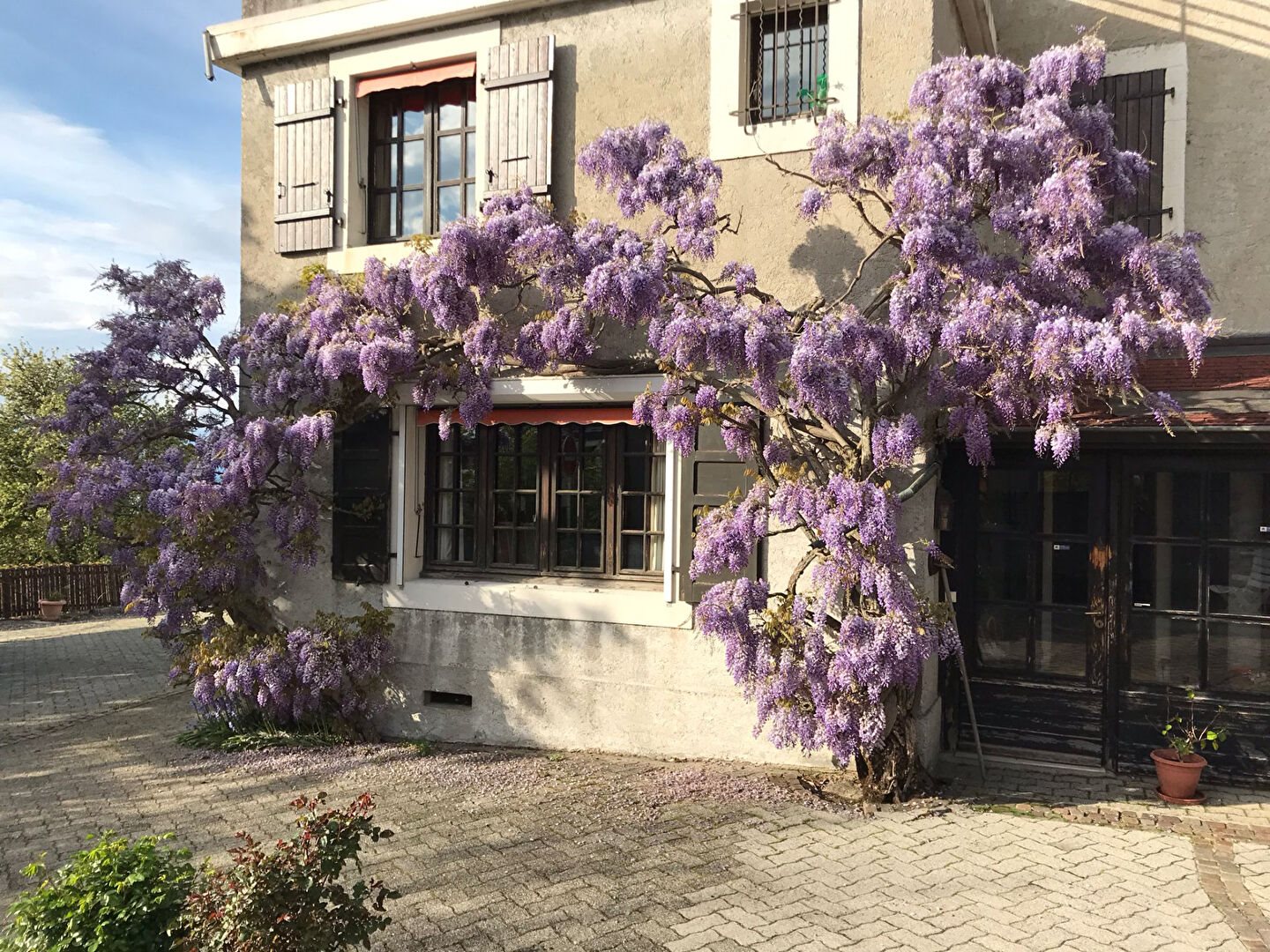 Maison à vendre, 230m², Collonges-sous-Salève