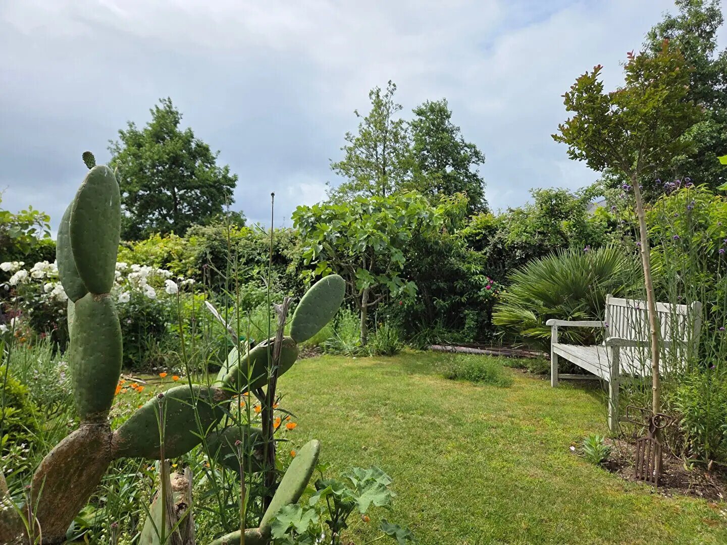 Maison à vendre, 100m², Plouhinec