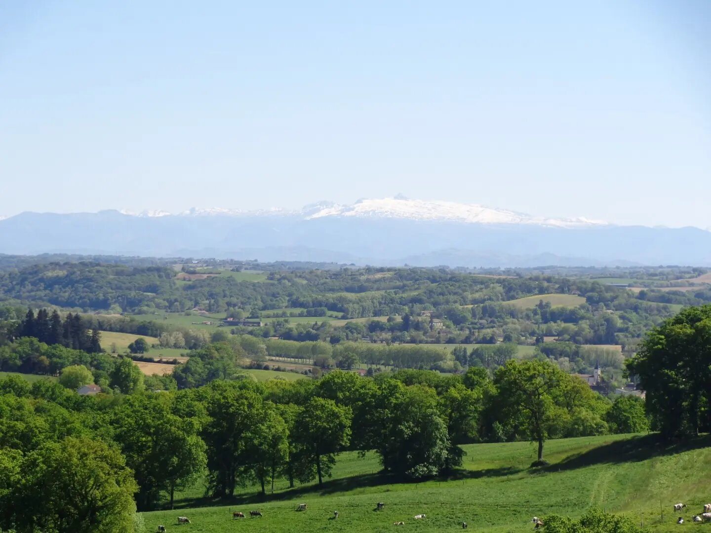 Maison à vendre, 170m², Baigts-de-Béarn