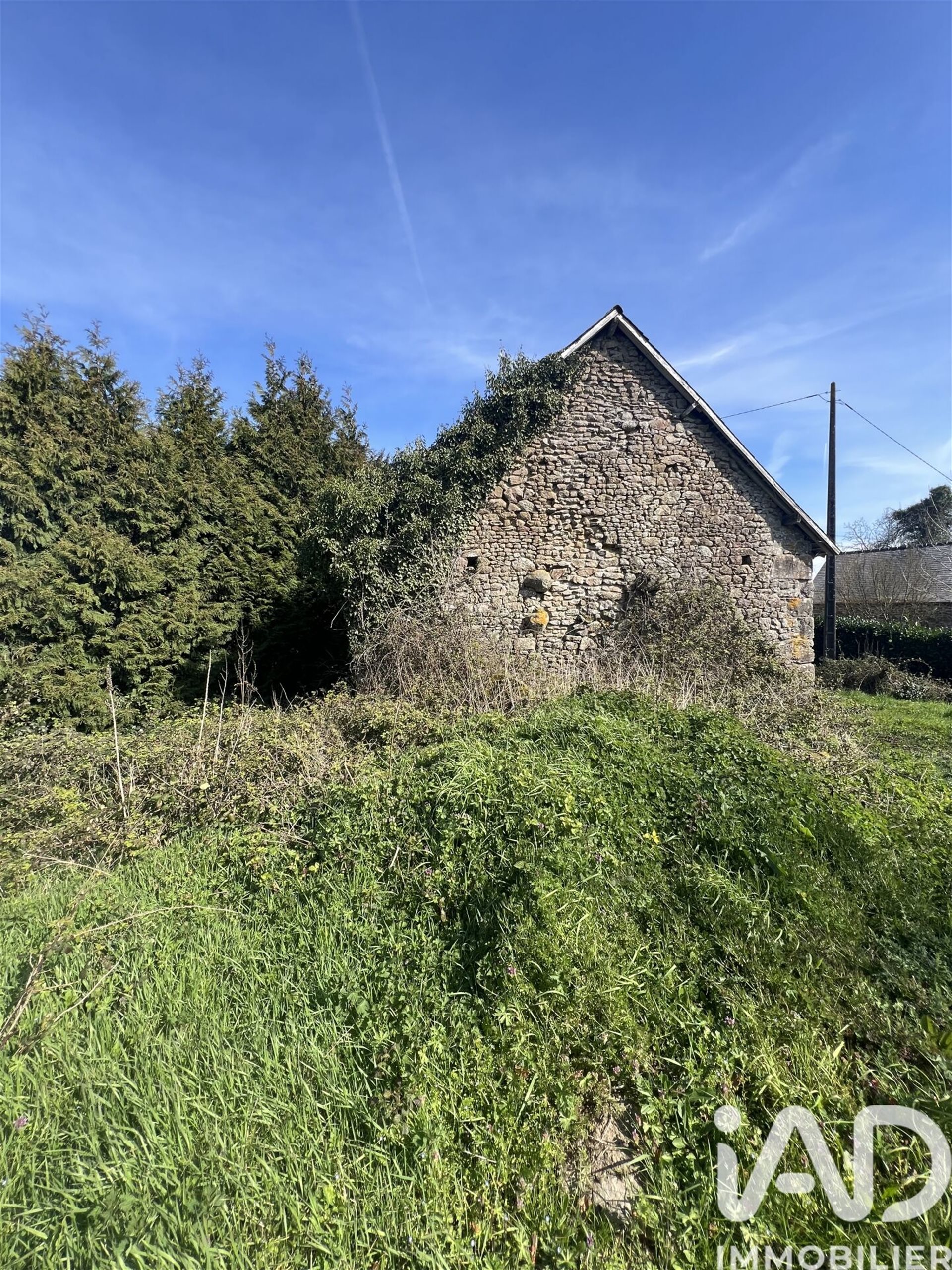 Maison à vendre, 50m², Sainte-Gemmes-le-Robert
