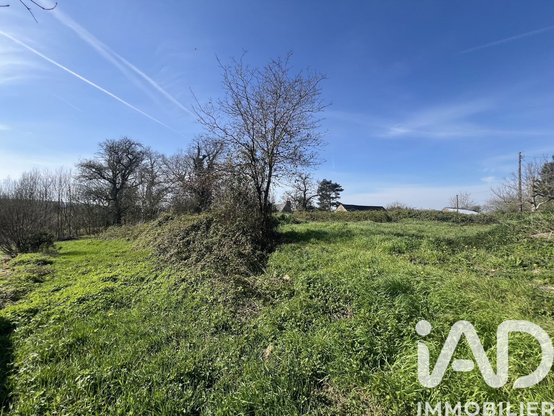 Maison à vendre, 50m², Sainte-Gemmes-le-Robert