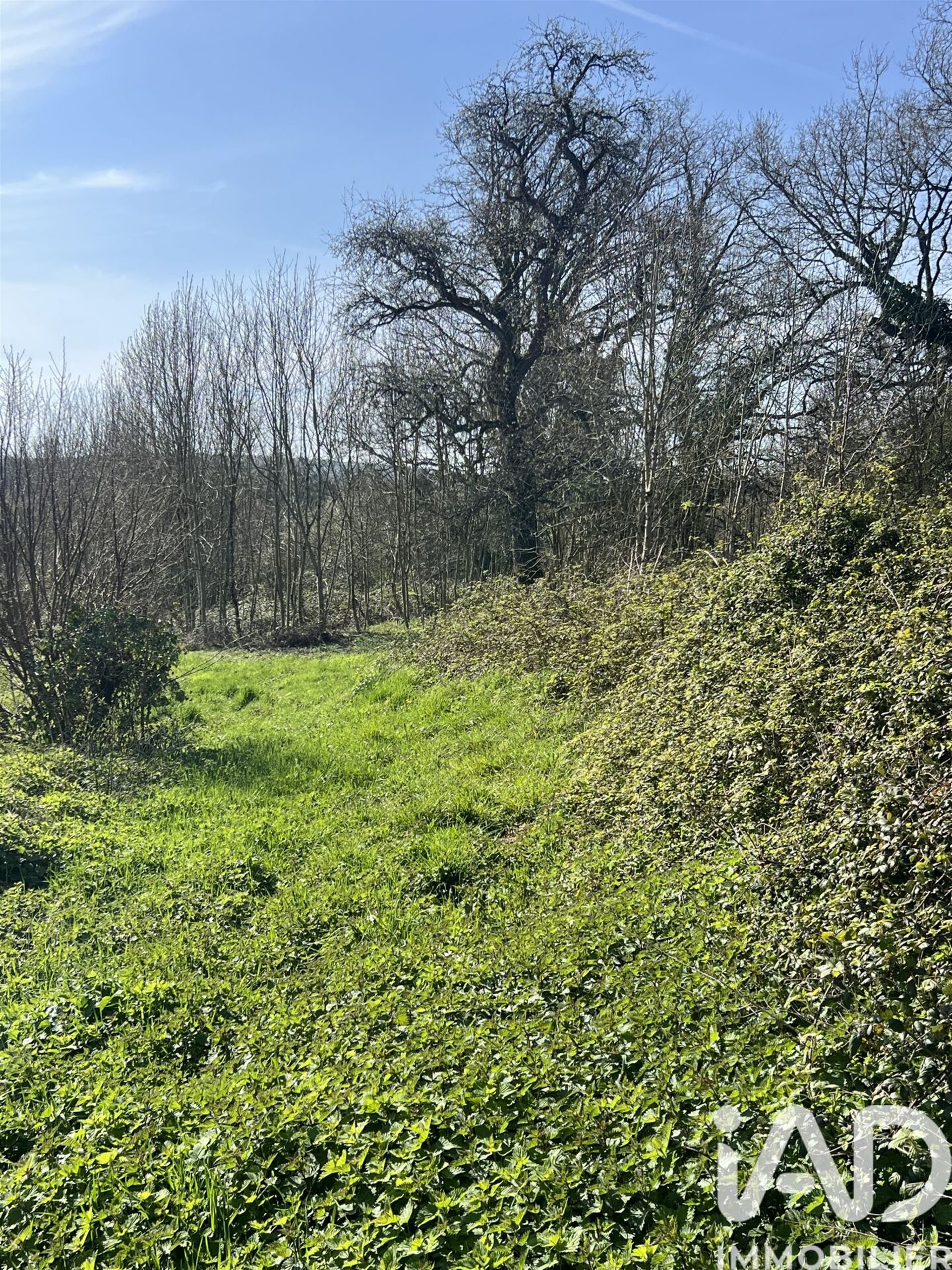 Maison à vendre, 50m², Sainte-Gemmes-le-Robert