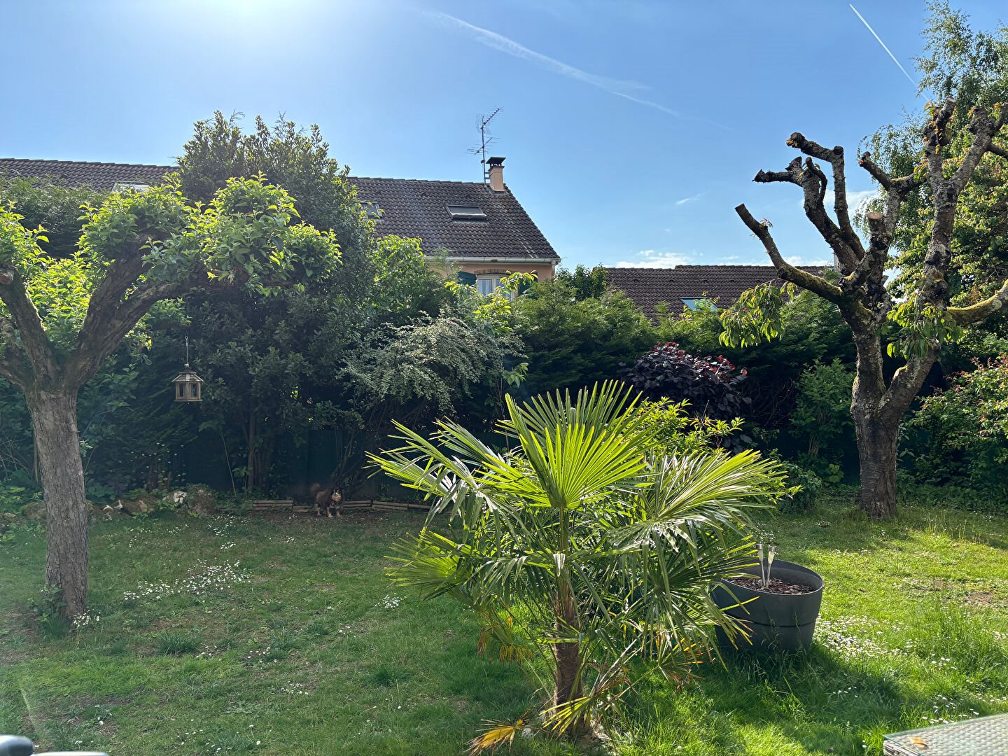 Maison à vendre, 124m², Villepreux