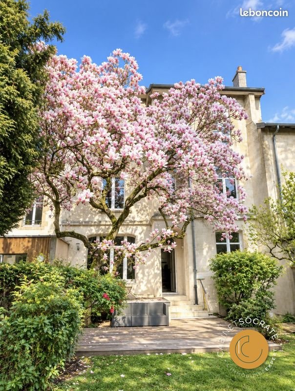 Maison à vendre, 370m², Nancy