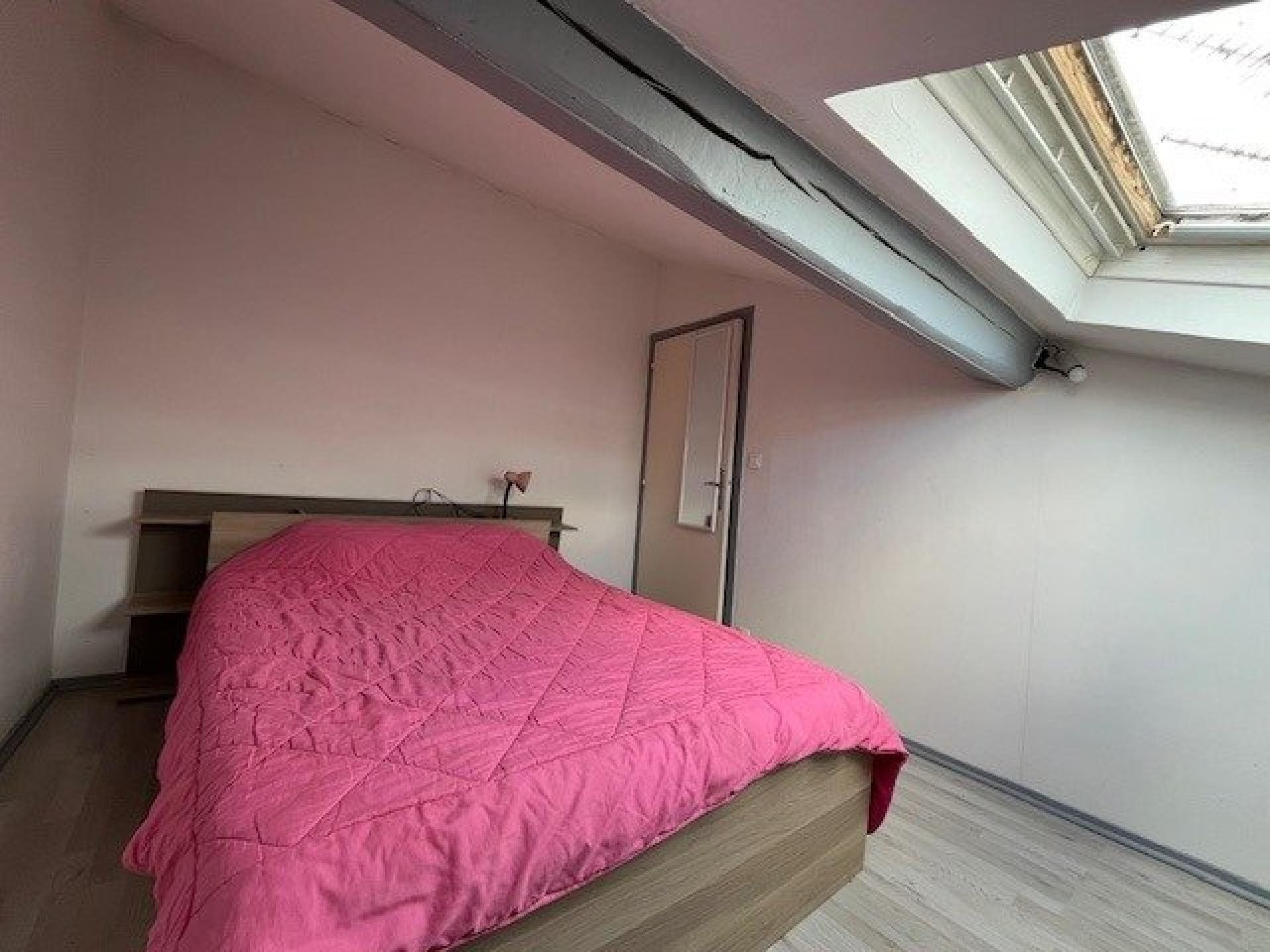 Appartement à vendre, 55m², Saint-Etienne