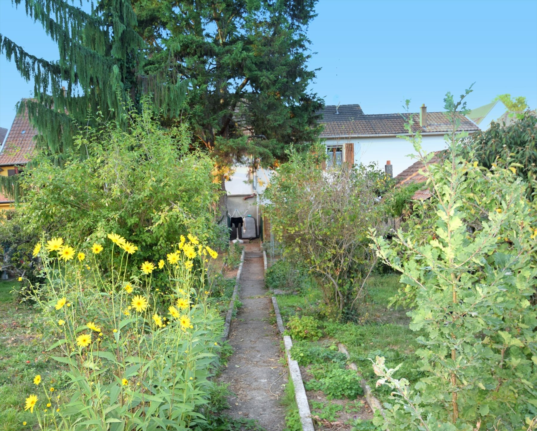 Maison à vendre, 132m², Ensisheim