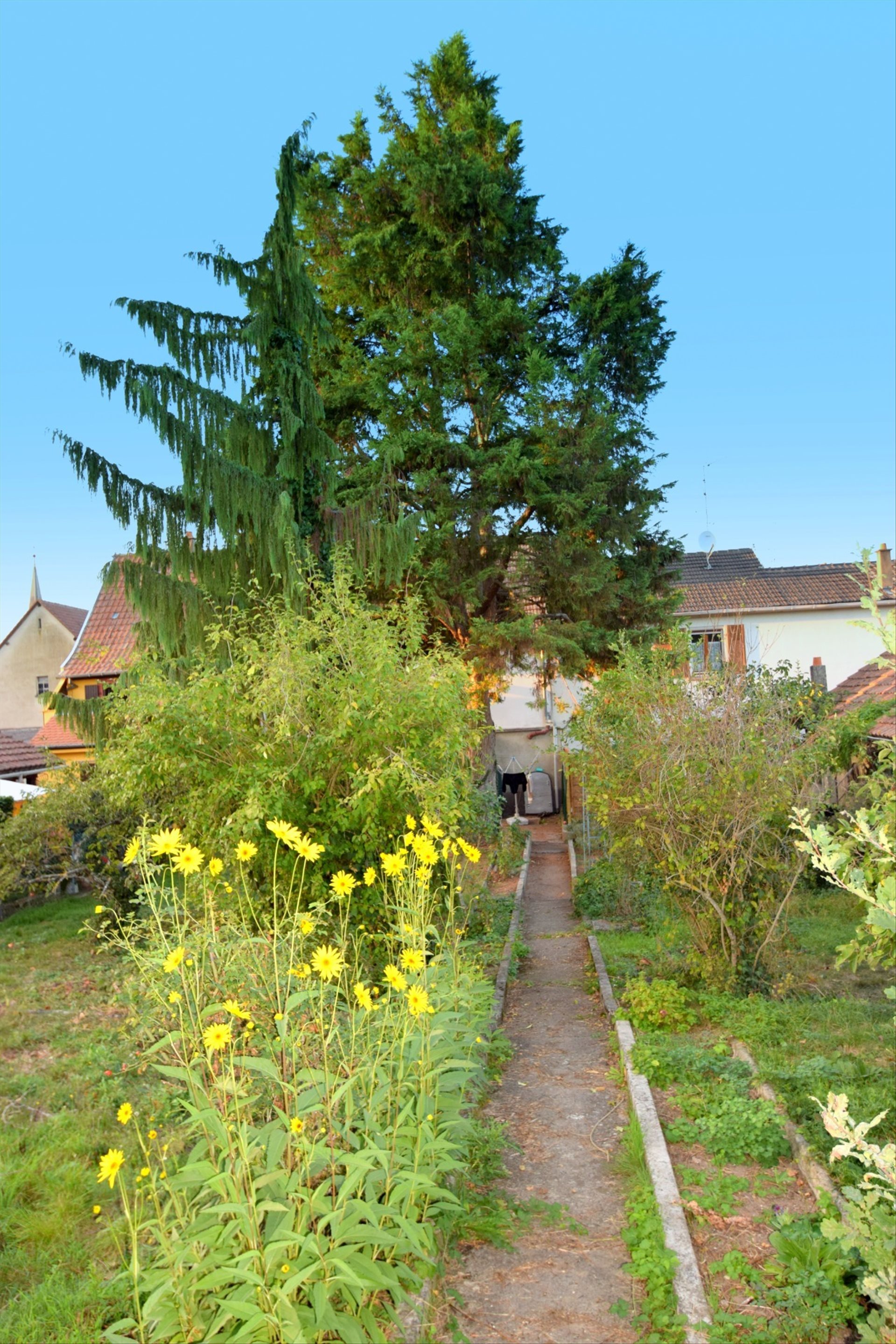 Maison à vendre, 132m², Ensisheim