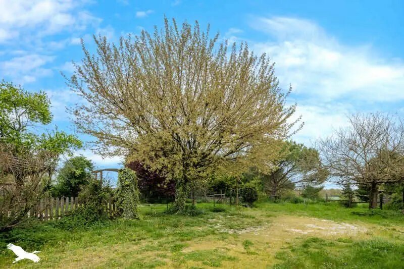 Maison à vendre, 200m², Fouqueure