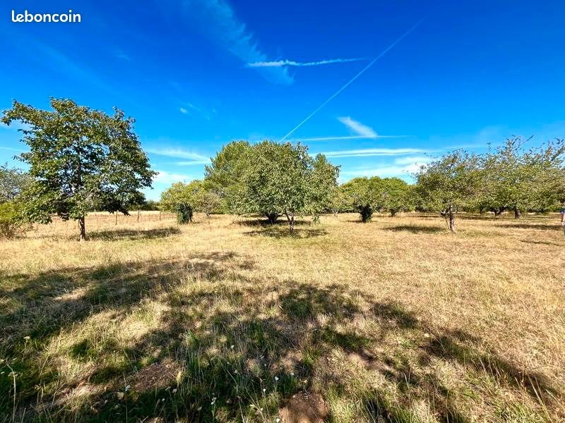 Maison à vendre, 185m², Cellefrouin
