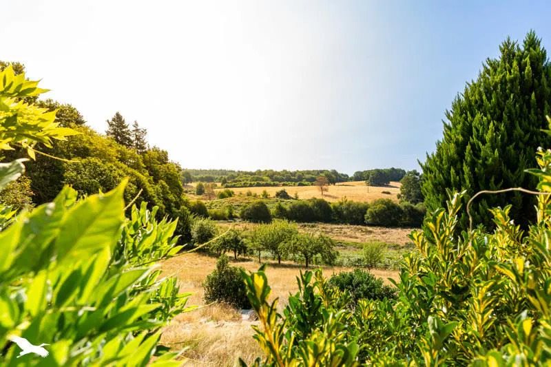 Maison à vendre, 152m², La Porcherie