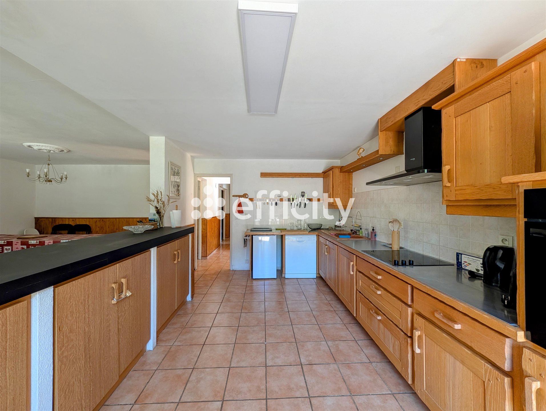 Appartement à vendre, 160m², Saint-Léger-les-Mélèzes