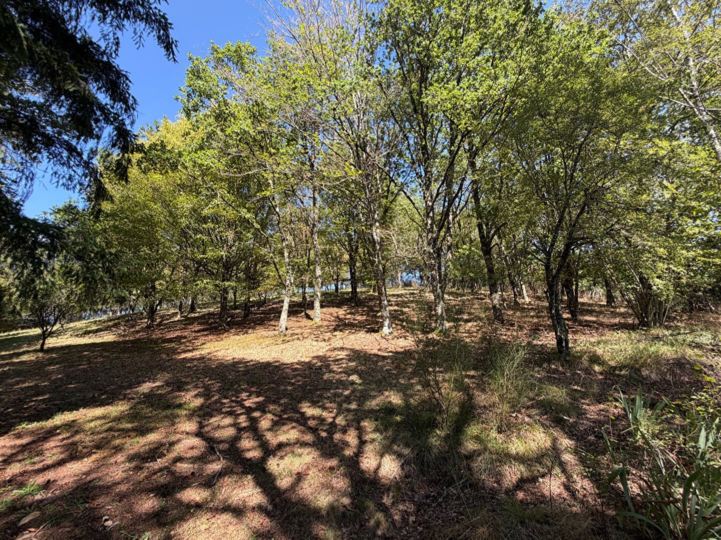 Maison à vendre, 83m², Figeac