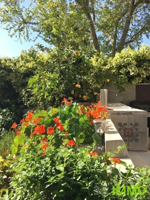 Maison à vendre, 262m², Portiragnes