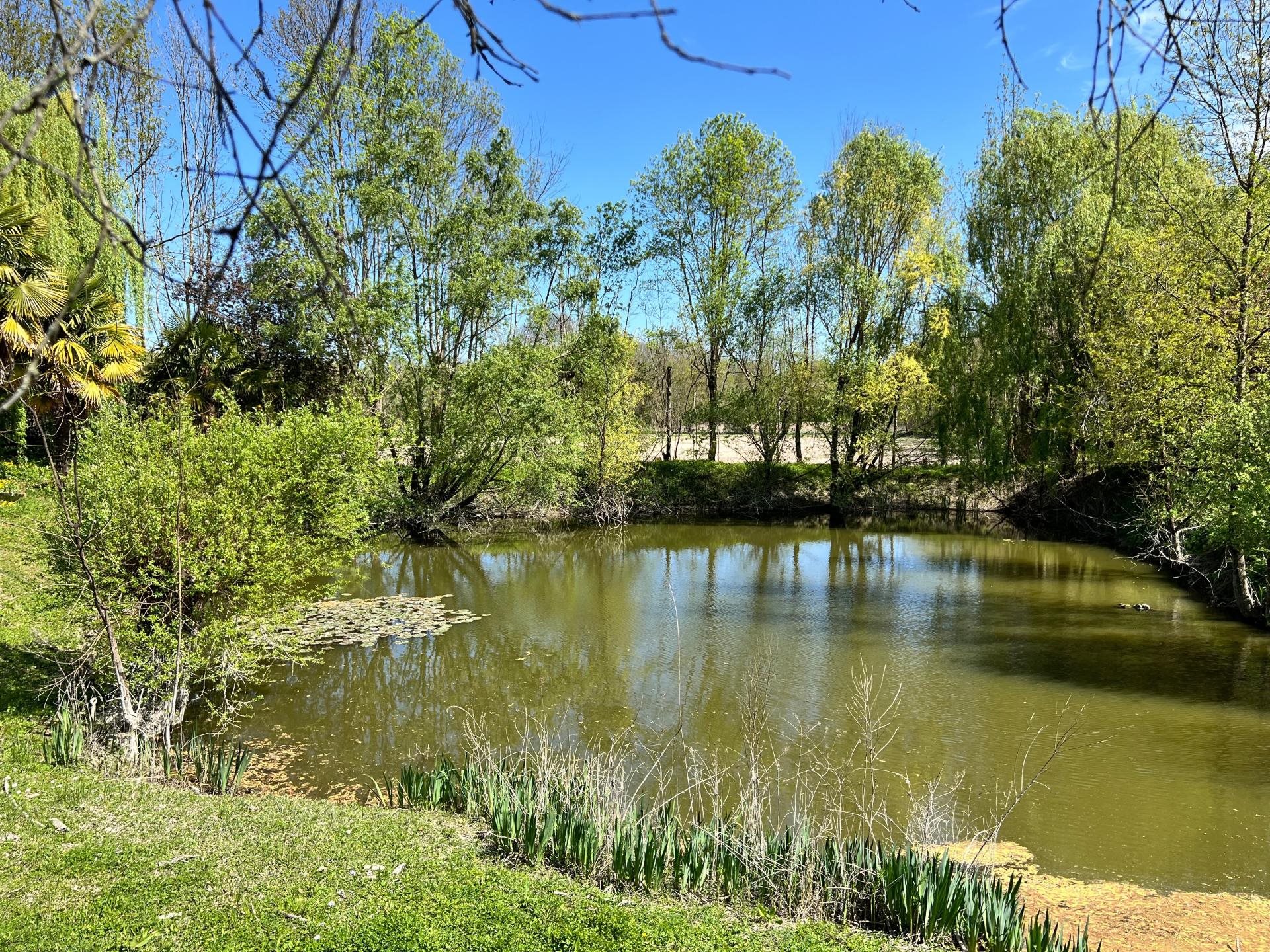 Maison à vendre, 246m², Chaniers