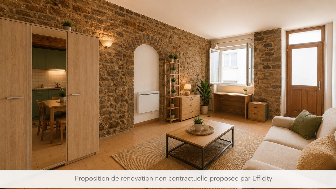 Appartement à vendre, 30m², Lyon 1er