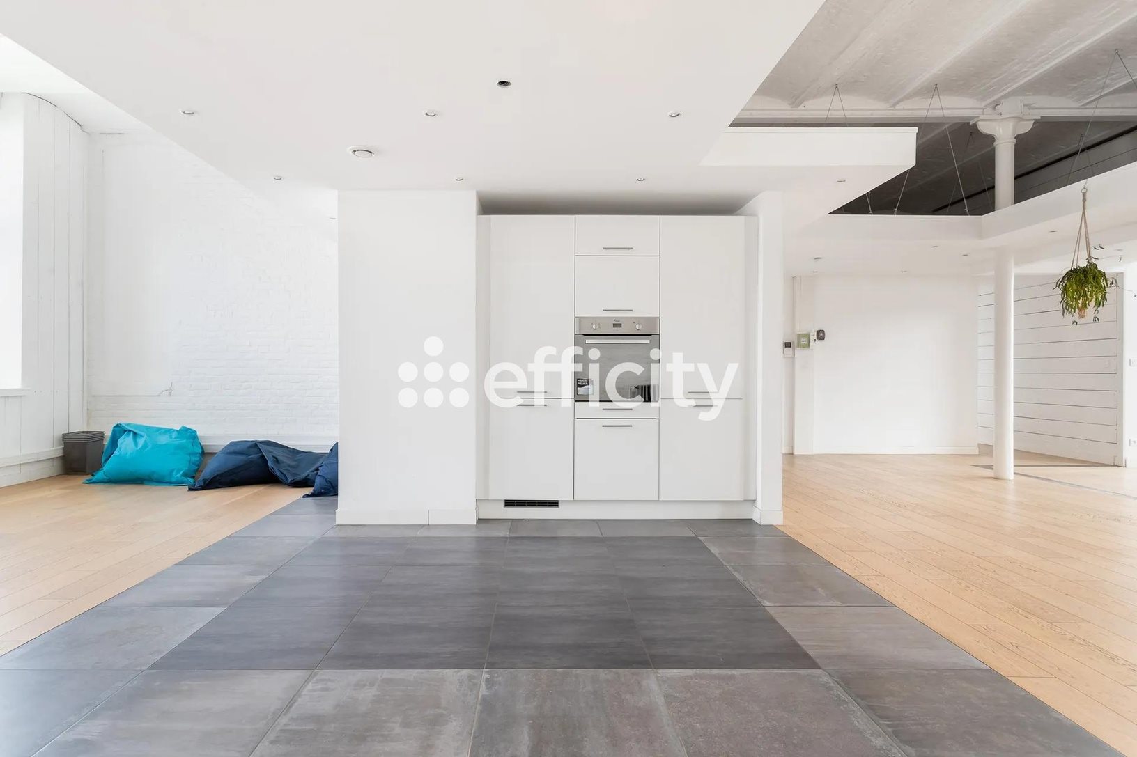 Appartement à vendre, 161m², Lille