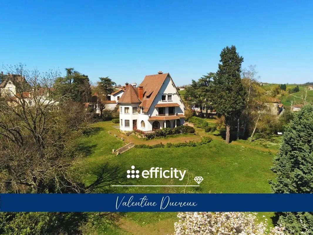 Maison à vendre, 450m², Chazelles-sur-Lyon