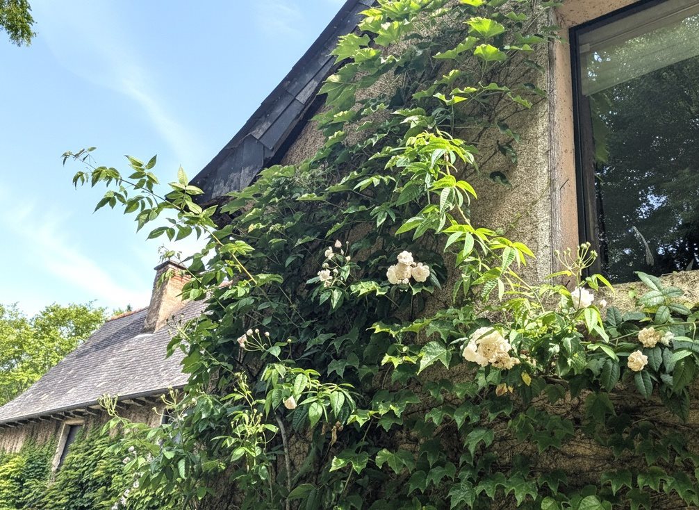 Maison à vendre, 315m², Saint-Grégoire