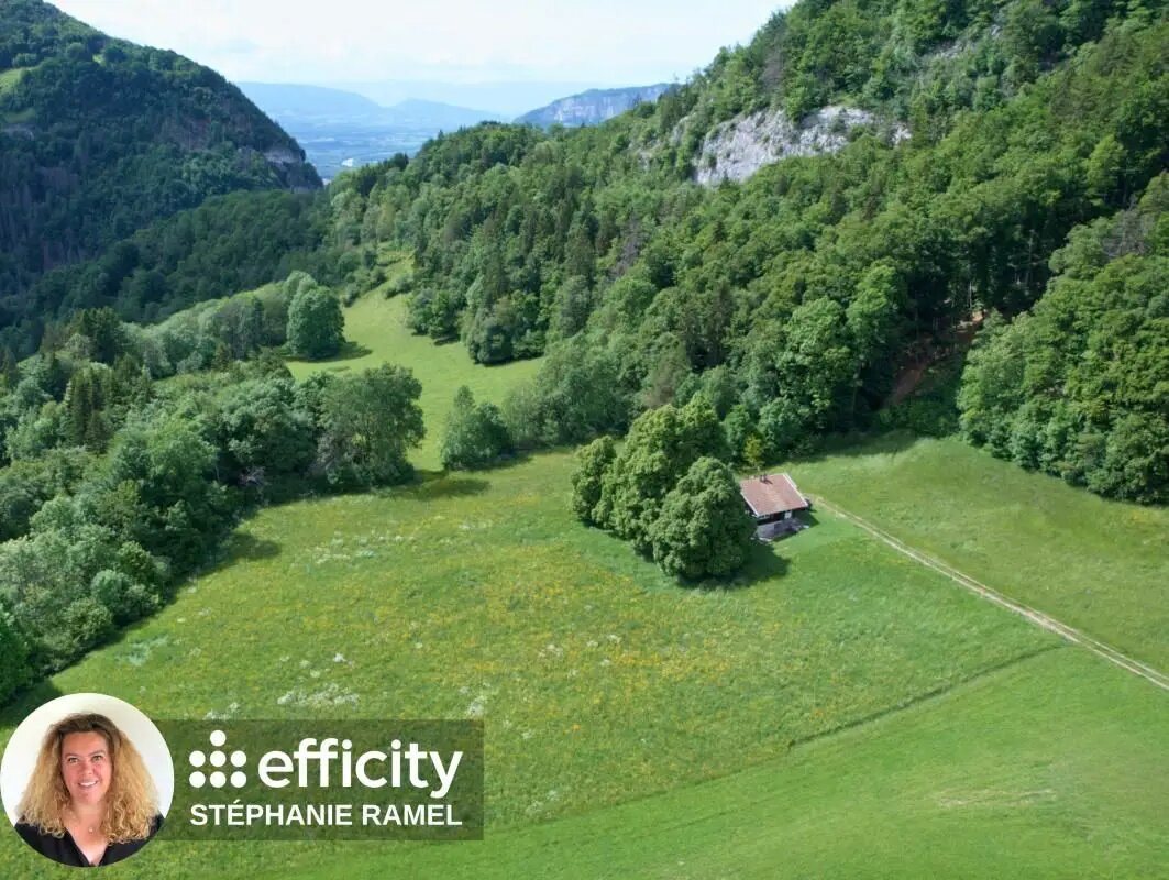 Maison à vendre, 250m², Mont-Saxonnex