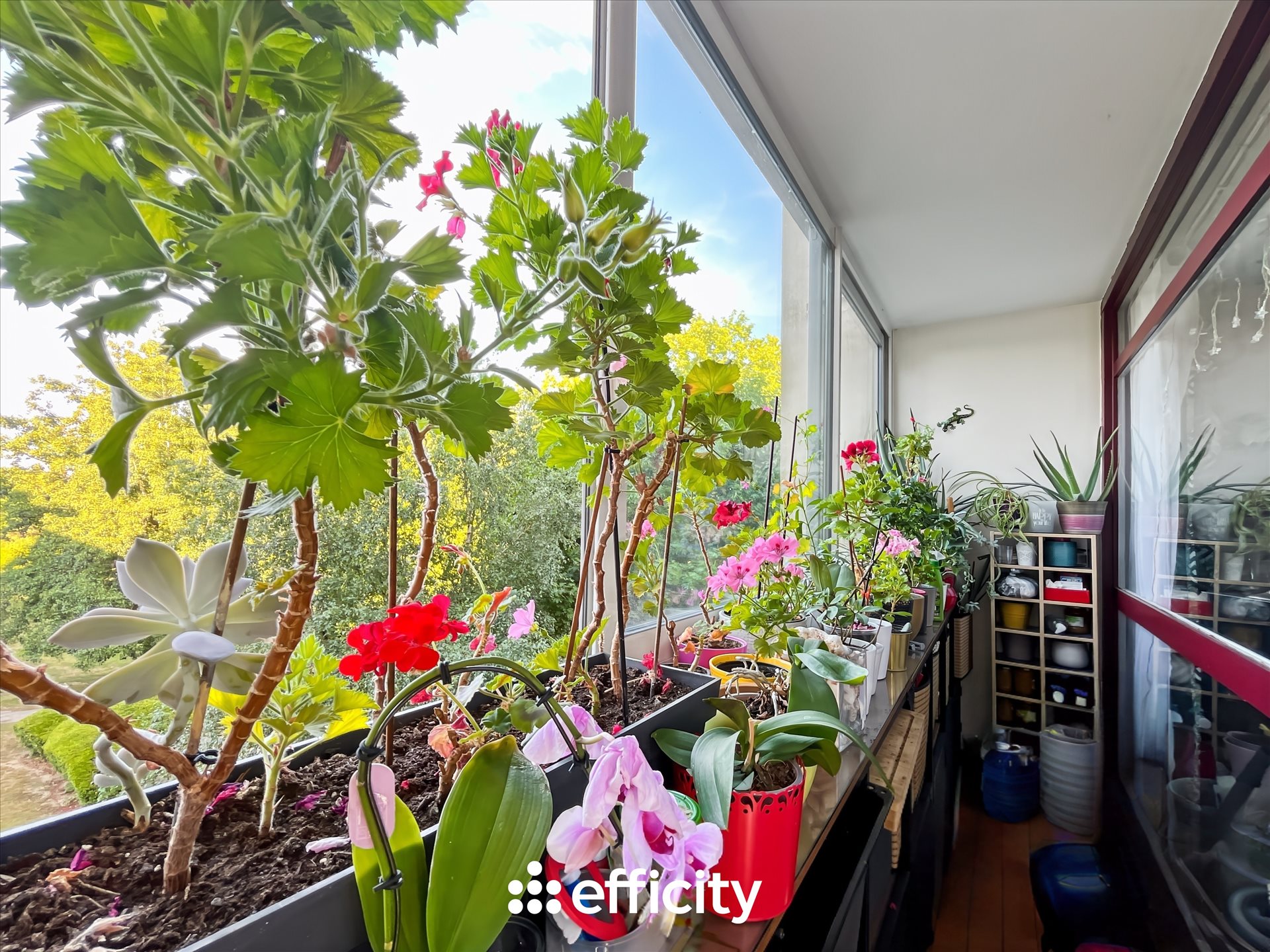 Appartement à vendre, 80m², Chennevières-sur-Marne