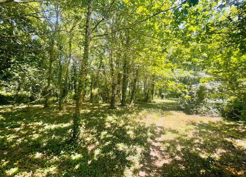 Maison à vendre, 143m², Sort-en-Chalosse