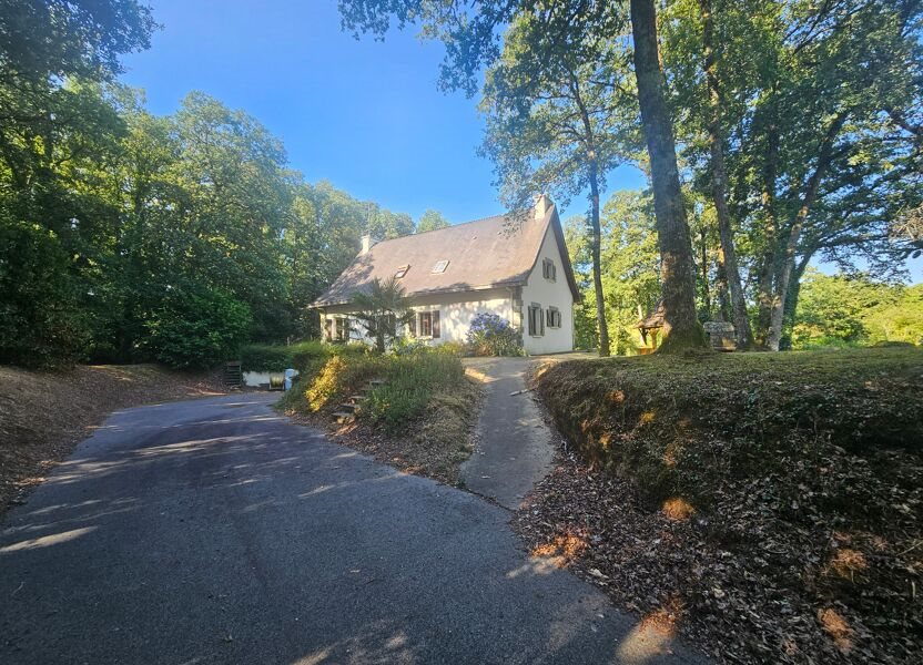 Maison à vendre, 195m², Allaire