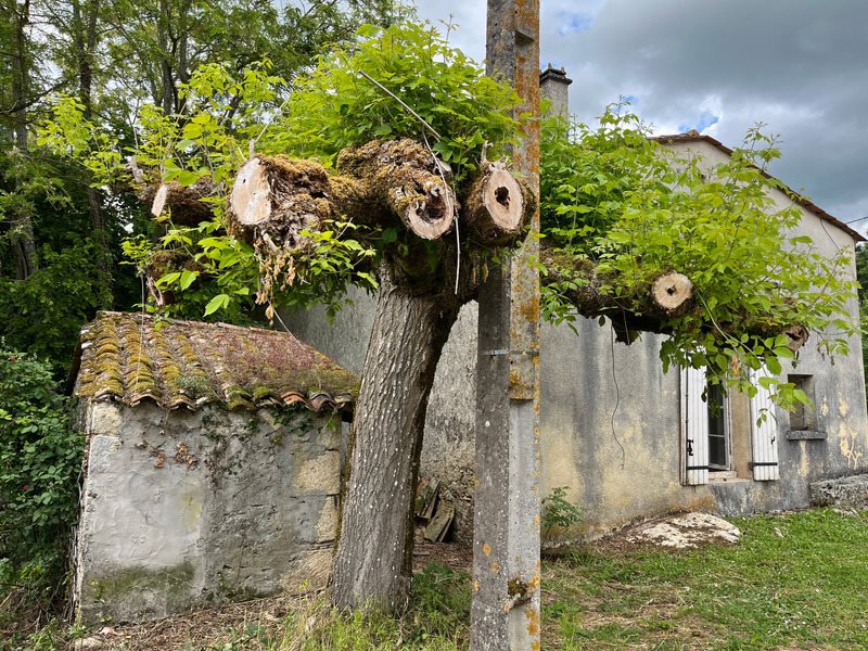 Maison à vendre, 77m², Cleyrac