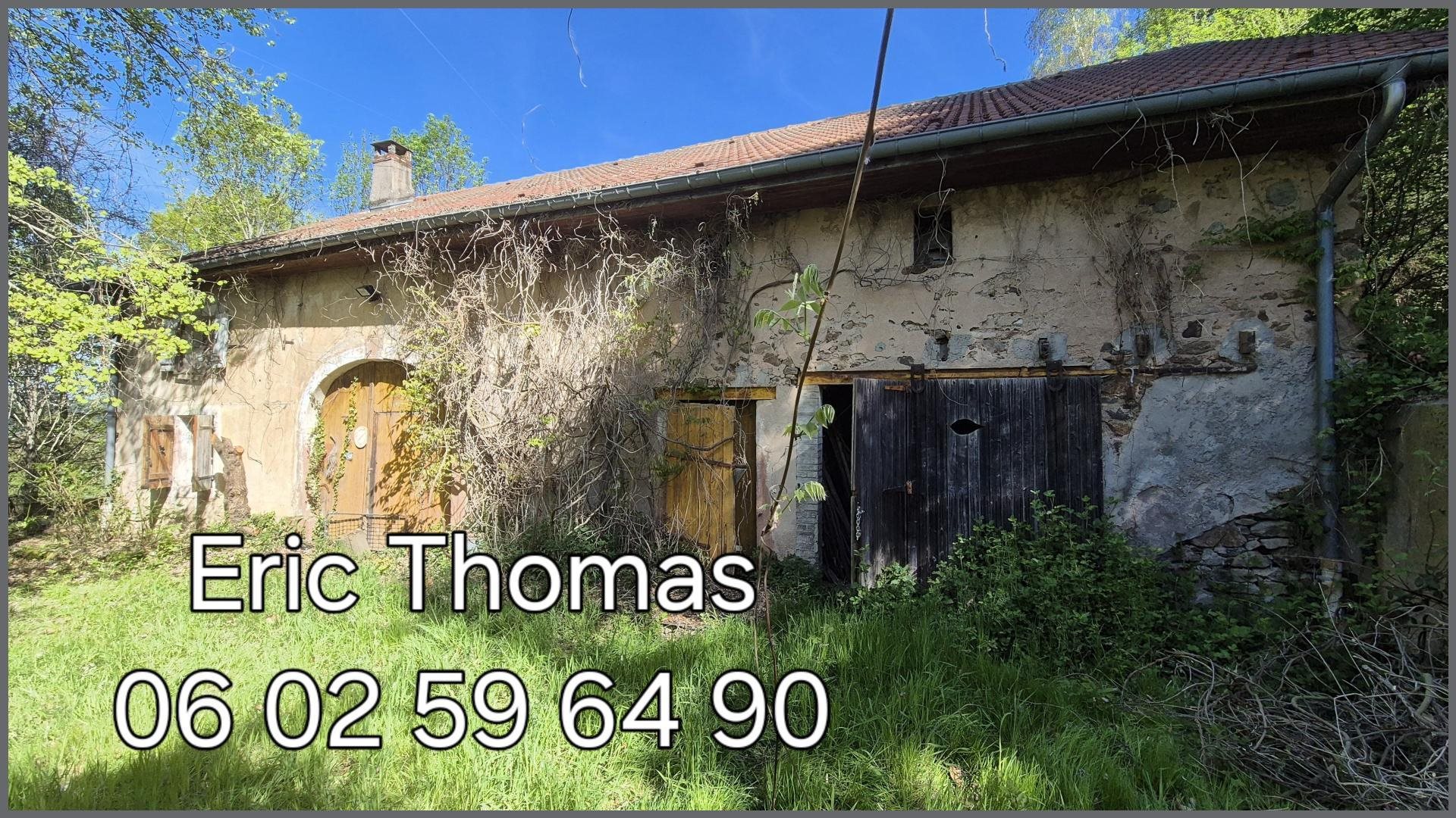 Maison à vendre, 350m², Anould