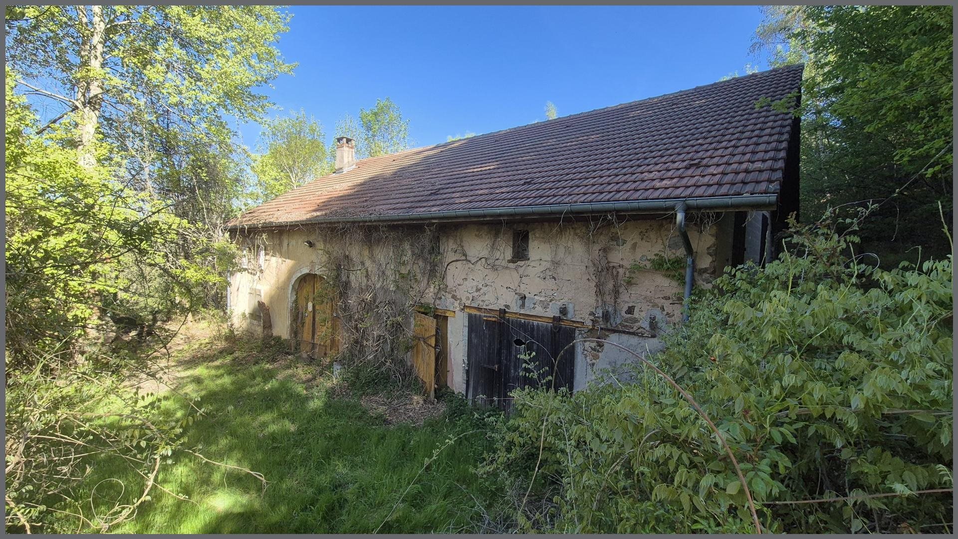 Maison à vendre, 350m², Anould