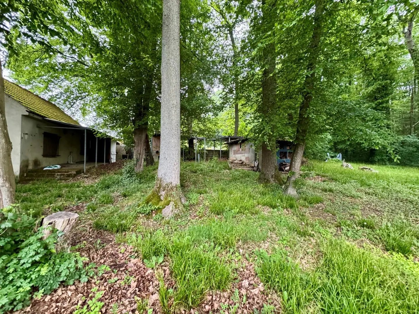 Maison à vendre, 40m², Dieudonné