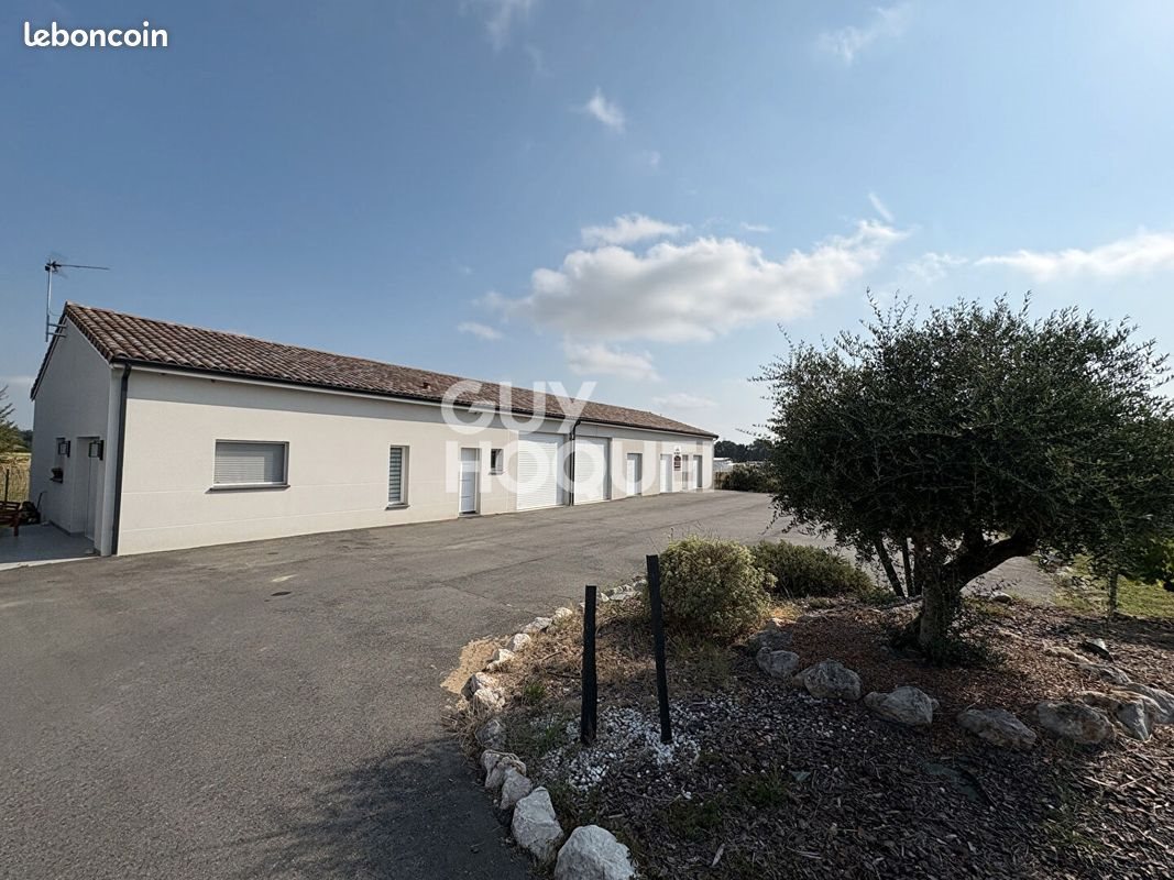 Maison à vendre, 210m², Fronton