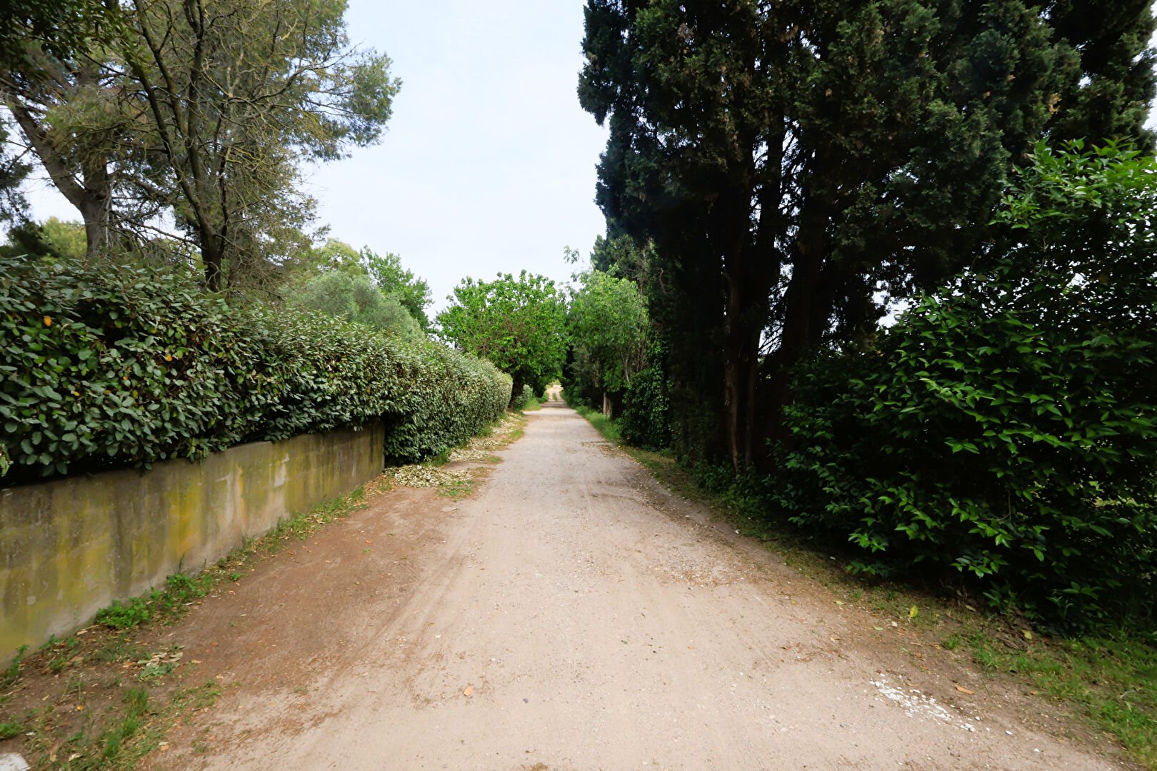 Maison à vendre, 241m², Mauguio