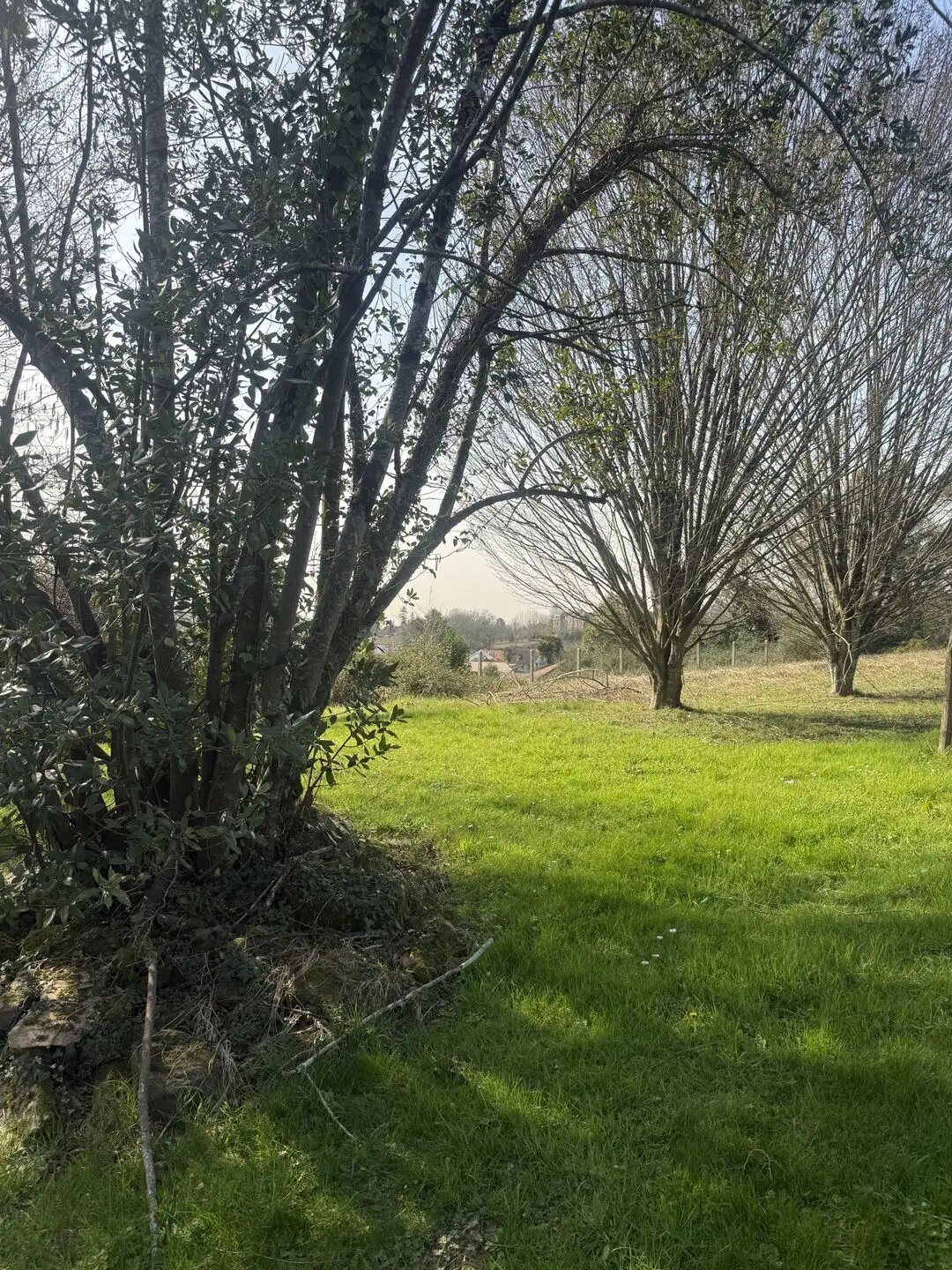 Maison à vendre, 179m², Salies-de-Béarn